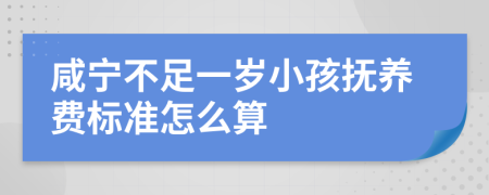 咸宁不足一岁小孩抚养费标准怎么算