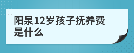 阳泉12岁孩子抚养费是什么