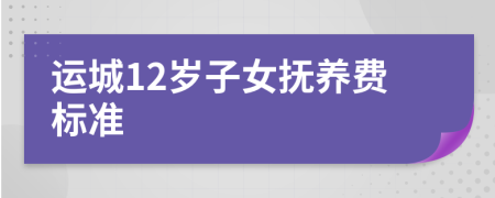 运城12岁子女抚养费标准