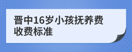 晋中16岁小孩抚养费收费标准