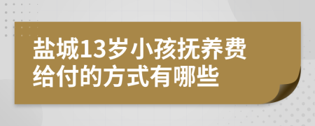 盐城13岁小孩抚养费给付的方式有哪些