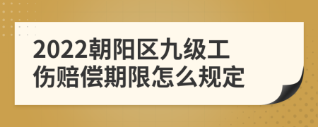 2022朝阳区九级工伤赔偿期限怎么规定