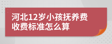 河北12岁小孩抚养费收费标准怎么算