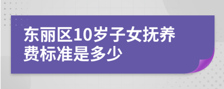 东丽区10岁子女抚养费标准是多少