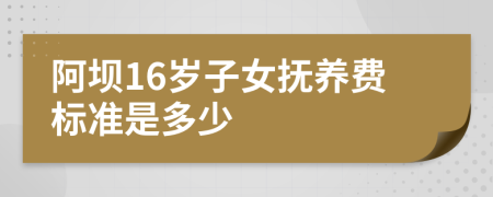 阿坝16岁子女抚养费标准是多少