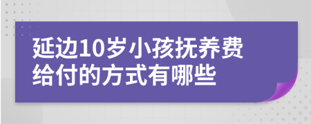 延边10岁小孩抚养费给付的方式有哪些