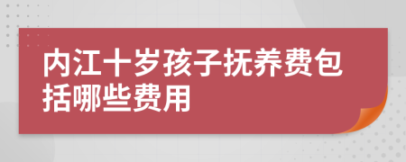 内江十岁孩子抚养费包括哪些费用