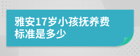 雅安17岁小孩抚养费标准是多少