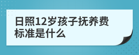 日照12岁孩子抚养费标准是什么