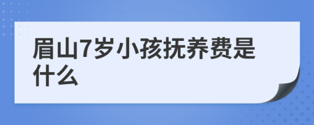 眉山7岁小孩抚养费是什么