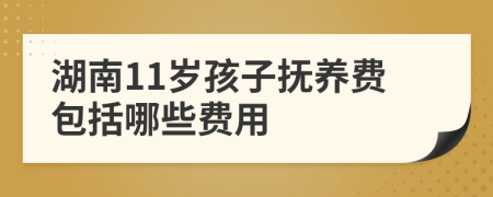 湖南11岁孩子抚养费包括哪些费用