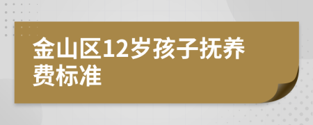 金山区12岁孩子抚养费标准