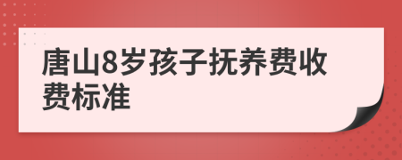 唐山8岁孩子抚养费收费标准