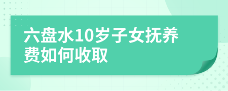 六盘水10岁子女抚养费如何收取