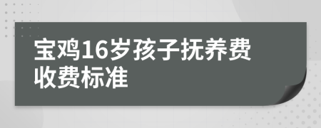 宝鸡16岁孩子抚养费收费标准