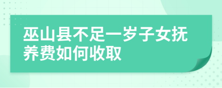 巫山县不足一岁子女抚养费如何收取