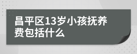 昌平区13岁小孩抚养费包括什么