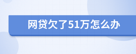 网贷欠了51万怎么办