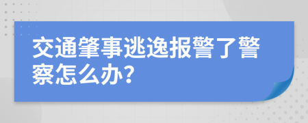 交通肇事逃逸报警了警察怎么办？