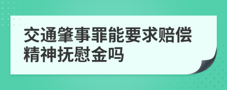交通肇事罪能要求赔偿精神抚慰金吗