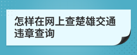 怎样在网上查楚雄交通违章查询