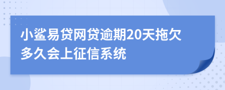 小鲨易贷网贷逾期20天拖欠多久会上征信系统