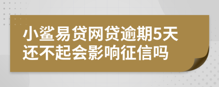 小鲨易贷网贷逾期5天还不起会影响征信吗