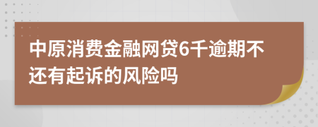 中原消费金融网贷6千逾期不还有起诉的风险吗