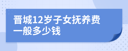 晋城12岁子女抚养费一般多少钱