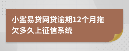 小鲨易贷网贷逾期12个月拖欠多久上征信系统