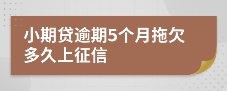 小期贷逾期5个月拖欠多久上征信