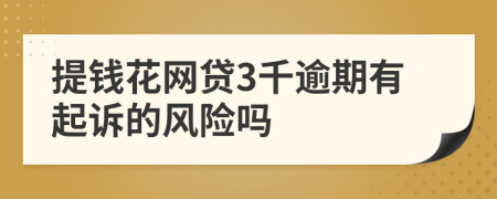 提钱花网贷3千逾期有起诉的风险吗