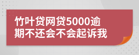竹叶贷网贷5000逾期不还会不会起诉我