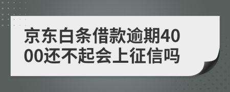 京东白条借款逾期4000还不起会上征信吗