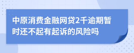 中原消费金融网贷2千逾期暂时还不起有起诉的风险吗