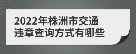 2022年株洲市交通违章查询方式有哪些