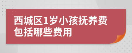 西城区1岁小孩抚养费包括哪些费用