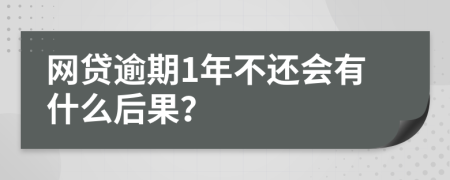 网贷逾期1年不还会有什么后果？