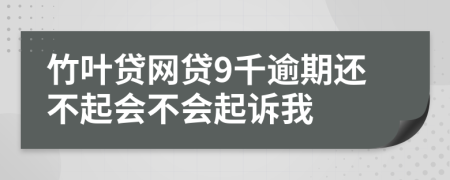 竹叶贷网贷9千逾期还不起会不会起诉我