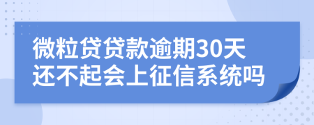 微粒贷贷款逾期30天还不起会上征信系统吗