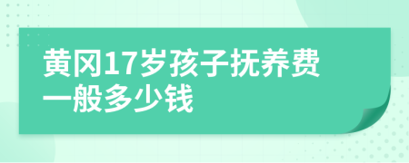 黄冈17岁孩子抚养费一般多少钱