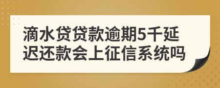 滴水贷贷款逾期5千延迟还款会上征信系统吗