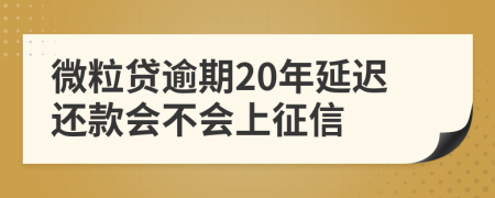 微粒贷逾期20年延迟还款会不会上征信