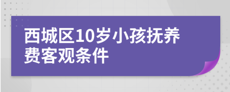 西城区10岁小孩抚养费客观条件