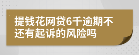 提钱花网贷6千逾期不还有起诉的风险吗