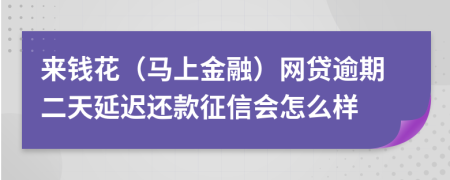 来钱花（马上金融）网贷逾期二天延迟还款征信会怎么样