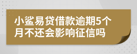 小鲨易贷借款逾期5个月不还会影响征信吗