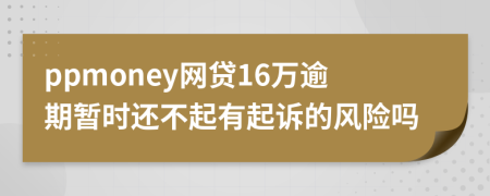 ppmoney网贷16万逾期暂时还不起有起诉的风险吗