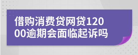 借购消费贷网贷12000逾期会面临起诉吗