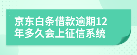 京东白条借款逾期12年多久会上征信系统